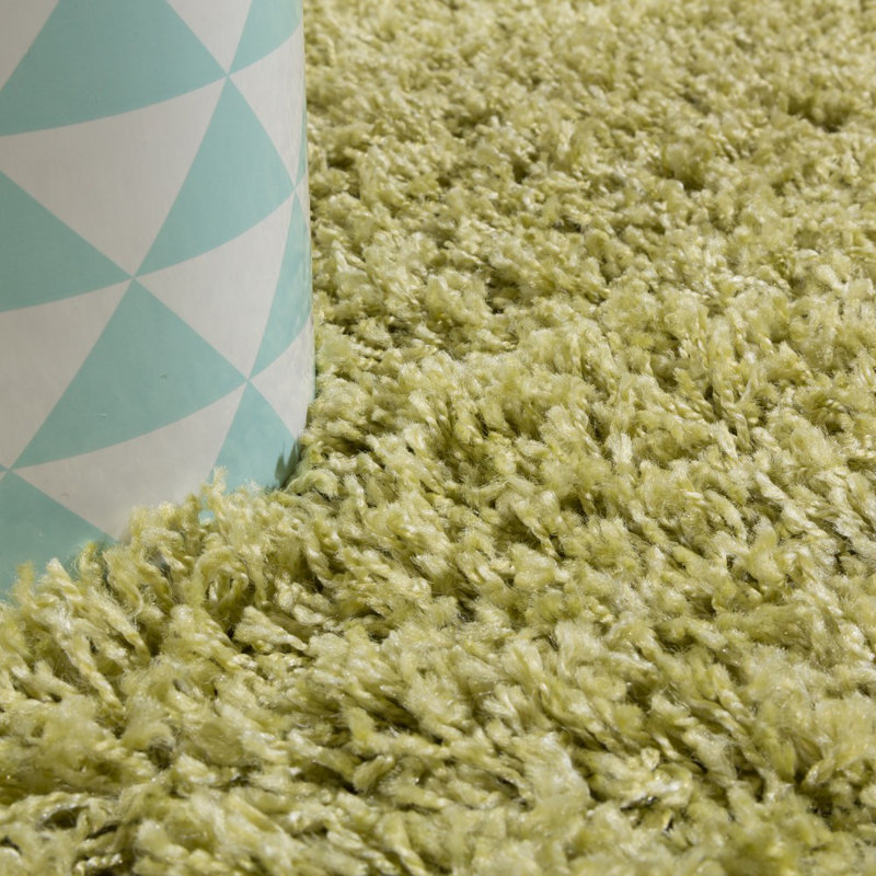 Zipcode Design Willa Shag Light Green Rug & Reviews Wayfair.co.uk